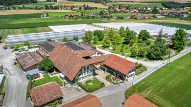 Frische Kräuter fürs ganze Land