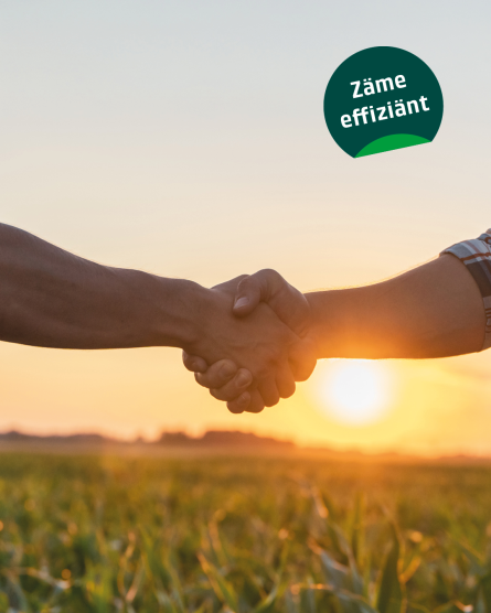 Fördergrogramm EVU-Effizienzmassnahmen