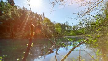 Zunahme bei den erneuerbaren Energien
