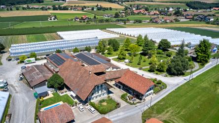 Egli’s frische Küchenkräuter